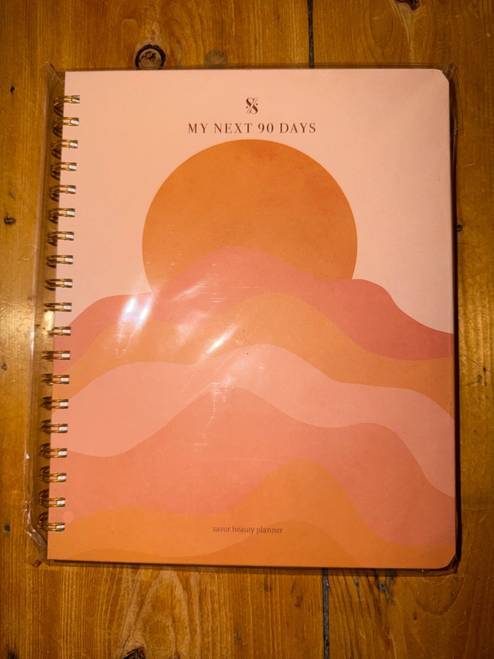 NEW discontinued Savor Beauty Planner; undated 90 day planner